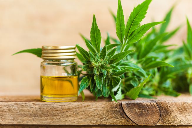 Cbd oil products growth